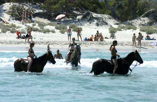 FRANCE CORSE BASTIA 20080722
BOUGER 
EQUILAND RANDONNEES A CHEVAL 
BAIGNADE A CHEVAL SUR UNE DES PLUS BELLES PLAGES DE CORSE A L OUEST DE BASTIA 
LA PLAGE SALECCIA
PIERRE MURATI